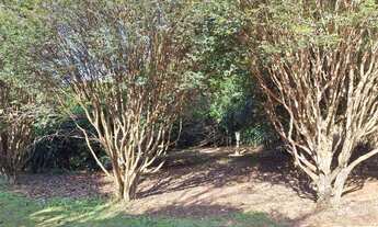 Imagem: Chácara à venda em Socorro, jabuticabal