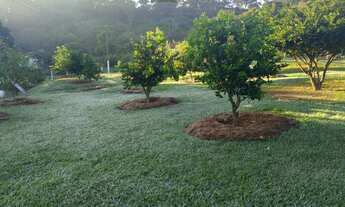 Imagem 3: Linda chacara a venda