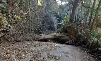 Imagem 4: ????Chácara a venda no Bairro Moquem em Socorro-SP, com escritura de parte ideal