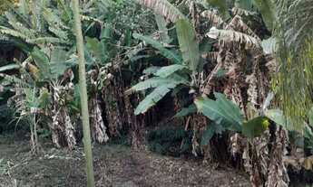 Imagem 3: ????Chácara a venda no Bairro Moquem em Socorro-SP, com escritura de parte ideal