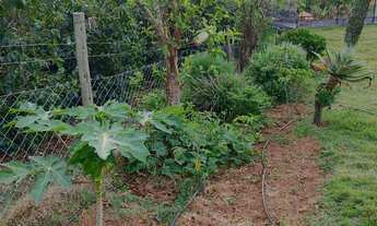 Imagem 3: Chácara Completa à Venda – Oportunidade Imperdível!