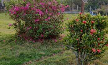 Imagem 4: Chácara Completa à Venda – Oportunidade Imperdível!