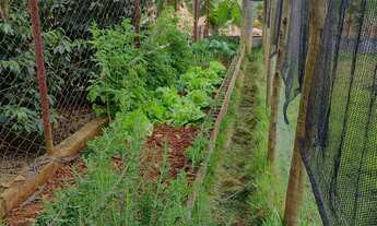 Imagem 5: Chácara Completa à Venda – Oportunidade Imperdível!