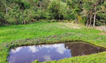 Imagem 2: ???? Linda Chácara à Venda – Pitangueiras de Cima, Pedra Bela – SP! ????