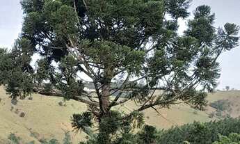 Imagem: Socorro SP Terreno a Venda Localizado no