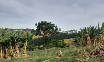 Imagem 4: Socorro SP Terreno a Venda Localizado no Bairro da Pompéia