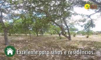 Imagem 3: Terreno, 150m², à venda em Pindoretama