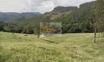 Imagem 1: Vende-se Área de Terra em Xavantina-SC, 452000m²