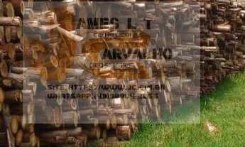 Imagem 3: Vende-se Área de Terra em Xavantina-SC, 452000m²