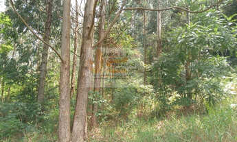 Imagem 7: Vende-se Área de Terra em Cordilheira Alta-SC