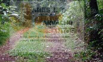 Imagem 4: Vende-se Área de Terra em Cordilheira Alta-SC