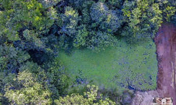 Imagem 7: Cidade Verde Lotes Parcelados com Área de Preservação ao Lado do Batalhão Policia