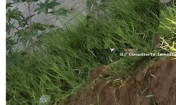 Imagem: Terreno para Venda no bairro Parque Campo