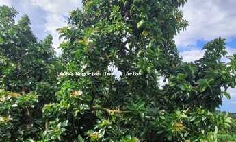 Imagem: Sítio a Venda Monte Mor a 33 km do parque