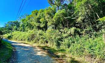 Imagem 2: Linda área para formação de sua chácara em Piraquara