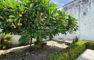 Imagem 13: Apartamento com 4 quartos em Bairro Novo