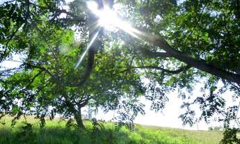 Imagem 3: Terreno em Condomínio à venda Cabreúva-SP