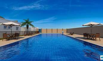 Imagem 6: Mata das Carnaúbas