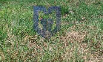 Imagem 4: Terreno à venda em Peruíbe, Cidade Nova Peruíbe, 342m²