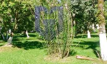 Imagem 2: Sítio à venda em Peruíbe, Estância Vale da Serra, com 6 quartos, 250m²