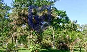 Imagem 3: Sítio à venda em Peruíbe, Estância Vale da Serra, com 6 quartos, 250m²