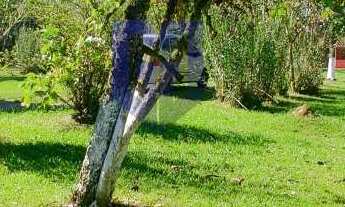 Imagem 5: Sítio à venda em Peruíbe, Estância Vale da Serra, com 6 quartos, 250m²