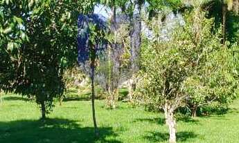 Imagem 4: Sítio à venda em Peruíbe, Estância Vale da Serra, com 6 quartos, 250m²