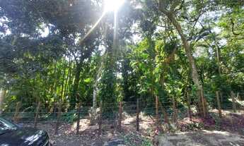 Imagem 5: Área de 9.666 m² a aproximadamente 20 minutos do Recreio. Ilha de Guaratiba