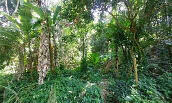 Imagem 6: Área de 9.666 m² a aproximadamente 20 minutos do Recreio. Ilha de Guaratiba