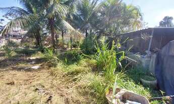 Imagem 6: Área, terreno com 3.600 m² em Ilha de Guaratiba