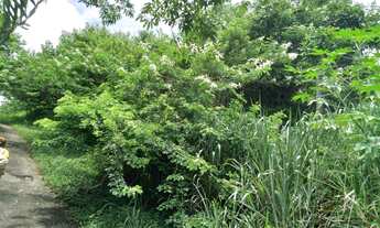 Imagem 3: Terreno à venda, 261m²