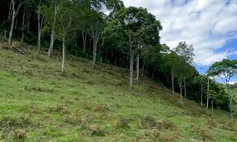 Imagem 5: Sítio com 2 quartos, 30.000m², à venda em Nova Trento