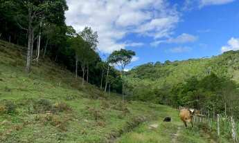 Imagem 6: Sítio com 2 quartos, 30.000m², à venda em Nova Trento