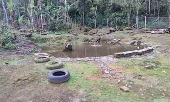 Imagem 7: Sitio de 10.000 m2 Lugar Tranquilo no Meio da Natureza com Alguns Animais lugar Alto e Pró