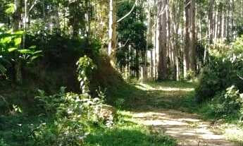 Imagem 4: Sitio de 10.000 m2 Lugar Tranquilo no Meio da Natureza com Alguns Animais lugar Alto e Pró
