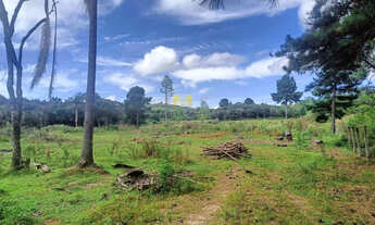 Imagem 5: Chácara à venda no bairro Capoeira dos Dinos em Piraquara!!!