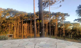 Imagem 6: Chácara à venda no bairro Capoeira dos Dinos em Piraquara!!!