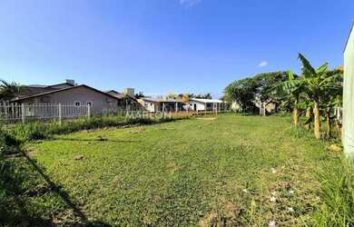 Imagem 7: Raridade, terreno de frente para o norte a 50 metros do mar