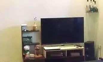 Imagem: Sobrado 3 dormitórios - Bairro Assunção