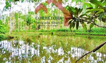 Imagem: Sítio - Venda - José Boiteux - SC - Caminho