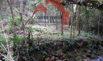 Imagem: Sítio - Venda - Apiúna - SC - Subida da