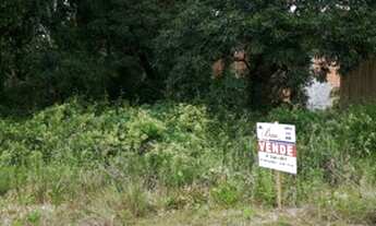Imagem: Terreno - Venda - Itapoá - SC - Volta ao