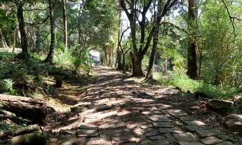 Imagem: Terreno - Venda - Ilhabela - SP - Itapecerica