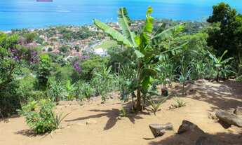 Imagem: Terreno - Venda - Ilhabela - SP - Itaguaçu