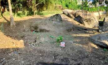 Imagem: Lote - Venda - Ilhabela - SP - Siriuba