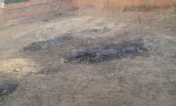 Imagem: Terreno - Venda - TIMON - MA - PEDRO PATRICIO