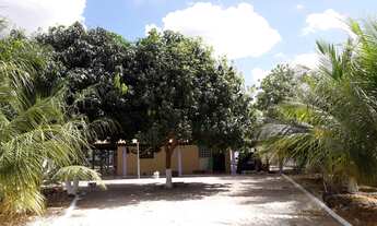 Imagem: Casa - Venda - TIMON - MA - CINTURAO VERDE