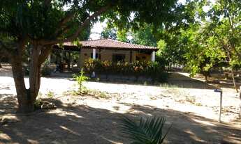Imagem: Sítio - Venda - TIMON - MA - ZONA RURAL