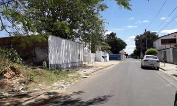 Imagem: Lote - Venda - Timon - MA - PARQUE PIAUÍ