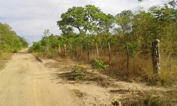 Imagem: Terreno - Venda - TIMON - MA - ZONA RURAL